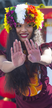 hawaii feest danseressen 